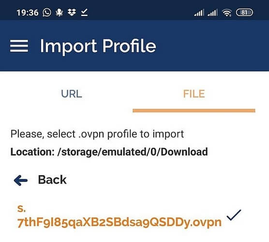 OpenVPN config - Android - Import profile