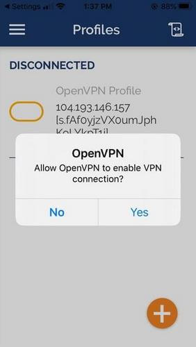 OpenVPN on iOS - permissions